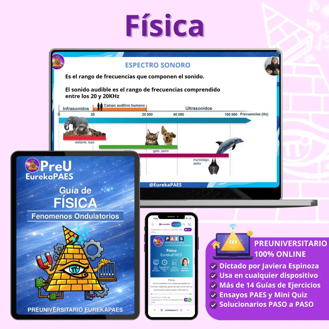 Preuniversitario Pack Completo EurekaPAES